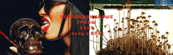 гашик Аркадак