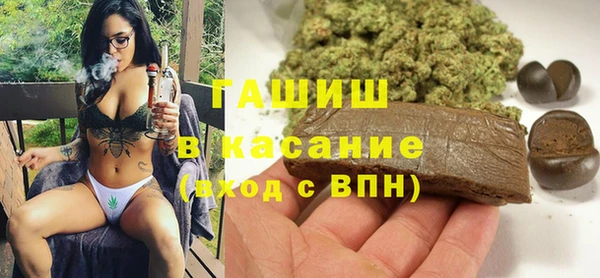 индика Слюдянка