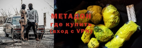 прущие грибы Снежногорск