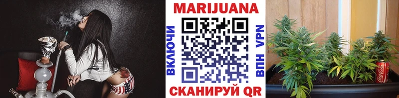 Канабис сатива Валдай